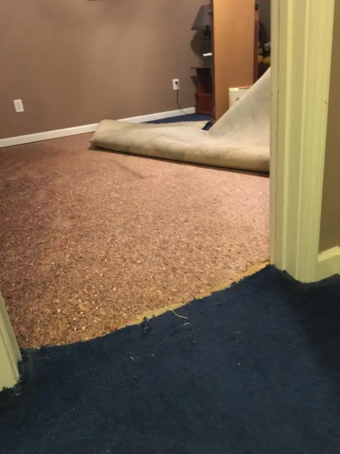 Carpet pad removal revealing water damage during Drying & Dehumidification in Erie